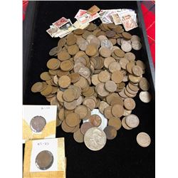 Wheat Head Penny Collection
