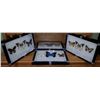 Image 1 : SET OF 12 MOUNTED BUTTERFLIES