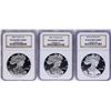 Image 1 : Lot of 2000-P to 2002-W $1 American Silver Eagle Proof Coins NGC PF69 Ultra Came