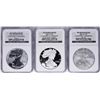 Image 1 : 2006 W 20th Anniversary Silver American Eagle Dollar Set NGC MS69/PF69/PF69