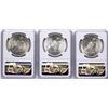 Image 2 : Lot of 1922-1924 $ Peace Silver Dollar Coins NGC MS64