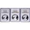 Image 1 : Lot of 2005-W to 2007-W $1 American Silver Eagle Proof Coins NGC PF69 Ultra Came