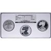 Image 1 : 2006 W 20th Anniversary Silver American Eagle Dollar Set NGC MS69/PF69/PF69