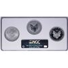Image 2 : 2006 W 20th Anniversary Silver American Eagle Dollar Set NGC MS69/PF69/PF69