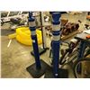 Image 1 : 2 BLUE PYLONS