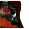 Image 6 : Gibson Dove Guitar