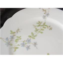 Set of Ten Floral Austrian Dishes