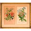 Image 1 : Pair of Botanical Prints