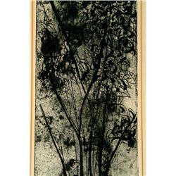 Black Birches by J. Parker