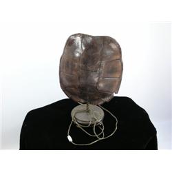 Deep Sea Tortoise Shell Lamp