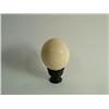 Image 1 : Ostrich Egg on Black Stone Stand