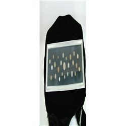 Framed Coin Collection