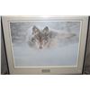 Image 2 : Two framed limited edition wildlife prints including "Dall sheep portrait" pencil signed by artist C