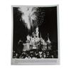 Image 4 : Disneyland 30th Anniversary Press Packet.