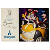 Image 11 : Collection of Disneyland Ambassador Program Documents.