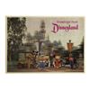 Image 1 : Disneyland 3-D Costumed Characters Postcard.