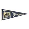 Image 1 : Fantasyland Lenticular Photo Pennant.