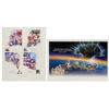 Image 1 : Pair of Disney Theme Park Commemorative Posters.