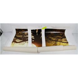 SET OF 3 CANVAS PRINTS 23"H X 15"W