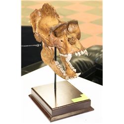 REPLICA 15"H PREHISTORIC SKULL WITH STAND