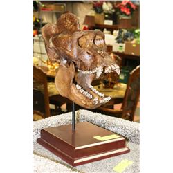 REPLICA 16"H PREHISTORIC SKULL WITH STAND