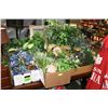 Image 1 : EXTRA LARGE LOT OF ASSORTED ARTIFICIAL PLANTS AND