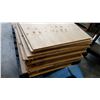 Image 3 : LOT OF PLYWOOD PIECES