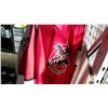 Image 2 : 4 JUNIOR HOCKEY JERSEYS