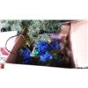Image 2 : LOT OF XMAS DECOR