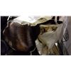 Image 2 : LOT OF FUR SCRAPS