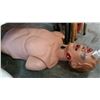 Image 1 : CPR PRACTICE TORSO