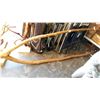 Image 1 : LARGE BURL WISHBONE