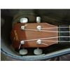 Image 2 : TRIUMPH UKELELE IN CASE