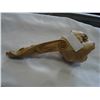Image 1 : CARVED CHAMELEON