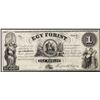 Image 1 : 1800's $1 Egy Forint Obsolete Note