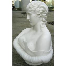 Bust of a Lady; Unknown