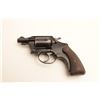Image 1 : 18LW-135 COLT #7488LW