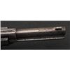 Image 10 : 18OMC-5 COLT S.A. A#130729