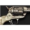 Image 11 : 18WHT-5 COLT S.A. #52783