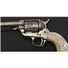 Image 3 : 18WHT-5 COLT S.A. #52783