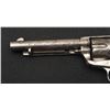 Image 4 : 18WHT-5 COLT S.A. #52783