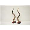 Image 1 : 18PJ-38 KUDU HORNS