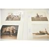 Image 3 : 18LN-1-254 PHOTO LOT