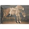 Image 4 : 18LN-1-254 PHOTO LOT