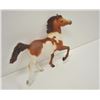 Image 2 : 18LN-1-180 PINTO PONY