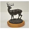 Image 1 : 18LN-1-177 SEPT WHITE TAIL