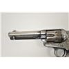 Image 8 : 14FN-62 COLT S.A. #101981