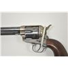Image 10 : 18OG-1 COLT S.A. #131920