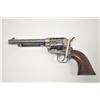 Image 8 : 18OG-1 COLT S.A. #131920