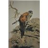 Image 2 : 18PG-26 LITHO BY RAYMOND CHING
